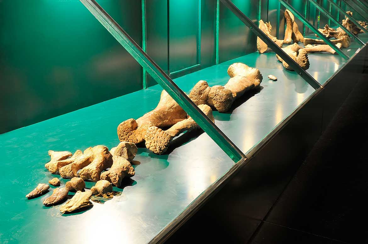 Inhóspitak, cerca de Casa Rita Inhóspitak, cerca de Casa Rita